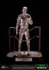 Terminator 2 Judgement Day Prémium Szobor 1/3 T-1000 Liquid Fém 30th Évfordulós Kiadás 70 cm