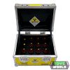 Back To The Future Prop Replica Plutonium Case