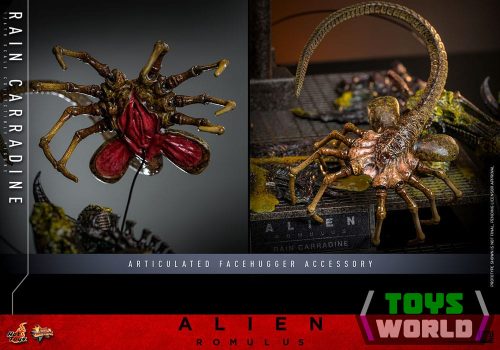 Alien: Romulus Movie Masterpiece Action Figure 1/6 Rain Carradine 26 cm