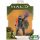Halo Infinite akció figura 10 cm - Spartan Air Assault