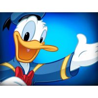 Donald kacsa